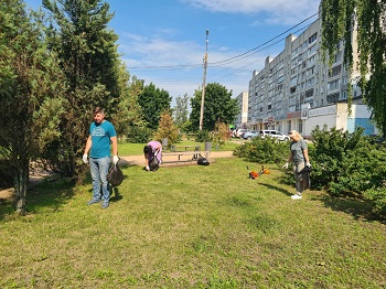 image-1