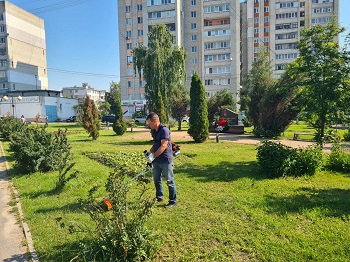 image-1