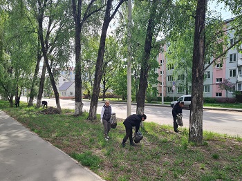 image-1